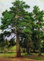 pine without the sun mary howe 1890 classical landscape Ivan Ivanovich trees